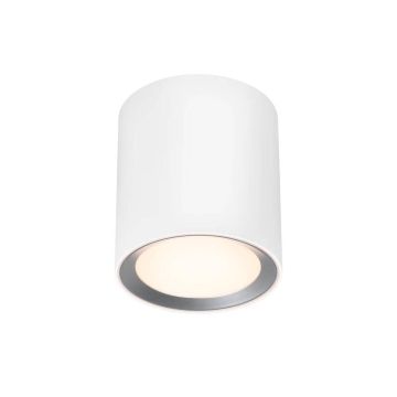 Nordlux LANDON 2110670101 Lubų šviestuvas 1x6,5W/LED IP44