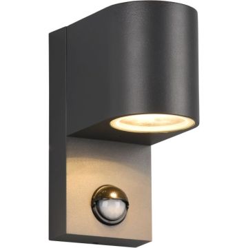 Trio ROYA 214260142 Sienos lempa 1x35w/gu10 ip44