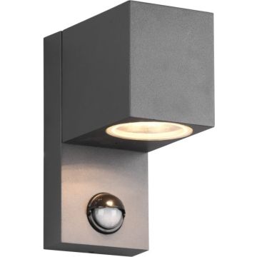 Trio ROYA 214269142 Sienos lempa 1x35w/gu10 ip44