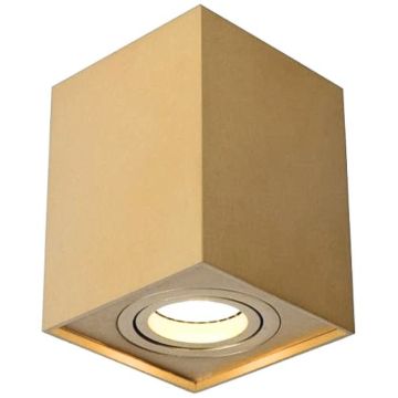 Lucide TUBE 22953/01/02 Lubų šviestuvas 1x50w/gu10 ip20