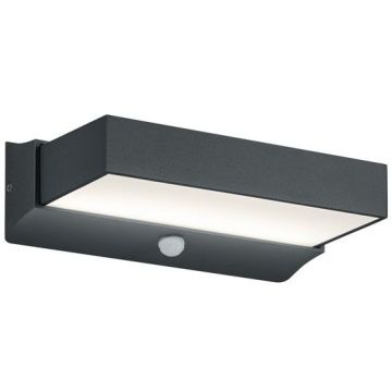 Trio CUANDO 226669242 Sienos lempa 1x11w/led 3000k 1400lm ip54