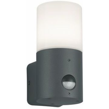 Trio HOOSIC 222260142 Sienos lempa 1x28w/e27 ip44