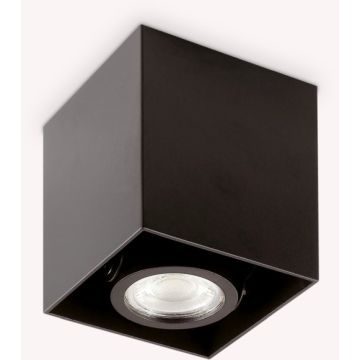 Ideal Lux MOOD 243948 Lubų šviestuvas 1x28W/GU10 ip20