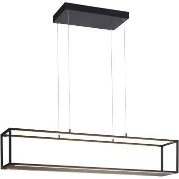 Paul Neuhaus CONNI 2441-18 Pakabinama lempa 4x42W/LED 3000k 3840lm ip20