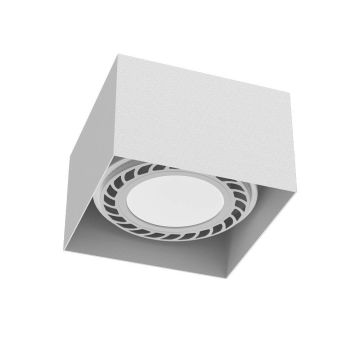 Antigo Cage 1268 downlight natynkowy 1x15W/Gu10 IP20