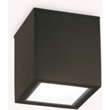 Ideal Lux TECHO 251578 Lubų šviestuvas 1x20W/GU10 ip54