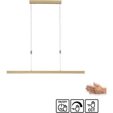Paul Neuhaus ADRIANA 2568-60 Pakabinama lempa 3x45W/LED 2700-5000k 4680lm ip20
