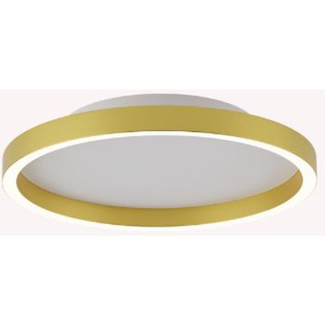 Zambelis CEILING LED LAMP 25160 Lubų šviestuvas 27W/led 2700-3000-4000K 1274-1334-1365lm IP20