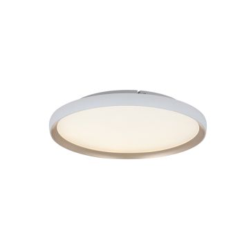 Zambelis CEILING LED LAMP 25185 Lubų šviestuvas 20W/led 2700-3000-4000K 1630-1663-1710lm IP20