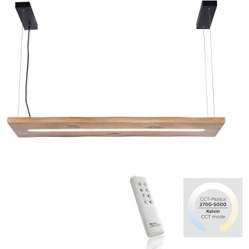 Paul Neuhaus PALMA 2625-79 Pakabinama lempa 1x27W/LED 2700-5000k 2750lm ip20