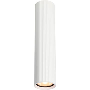 Italux Rilok CLN-83920-L-WH Lubų šviestuvas 1x10W/GU10 IP20