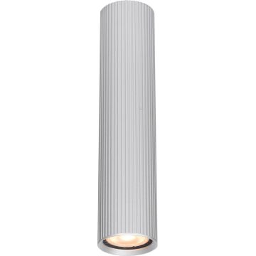 Italux Rilok CLN-83920-L-ALU Lubų šviestuvas 1x10W/GU10 IP20