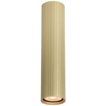 Italux Rilok CLN-83920-L-GD Lubų šviestuvas 1x10W/GU10 IP20