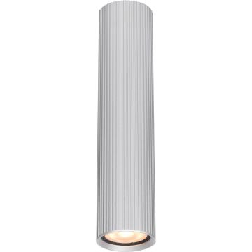 Italux Rilok CLN-83920-M-ALU Lubų šviestuvas 1x10W/GU10 IP20