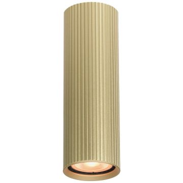 Italux Rilok CLN-83920-M-GD Lubų šviestuvas 1x10W/GU10 IP20
