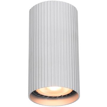 Italux Rilok CLN-83920-S-ALU Lubų šviestuvas 1x10W/GU10 IP20