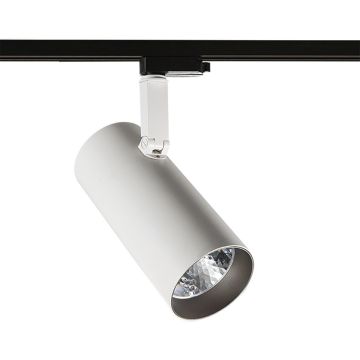 Italux Russo L 4000K TL7557/40W 4000K WH+GR Geležinkelio švieslentė 1x40W/LED 4000K 3180lm IP20