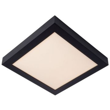 Lucide BRICE-LED 28117/30/30 Stropo šviestuvas 1x30w/led 3000k 1727lm ip44