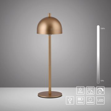 Paul Neuhaus BELLIS 19244-12 Stalo lempa 1x2,5W/LED 3000k 210lm ip54