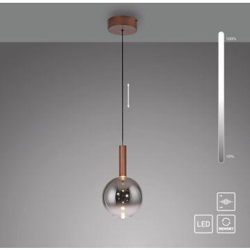 Paul Neuhaus BOWL 2284-23 Pakabinama lempa 1x7,4W/LED 2700k 300lm ip20