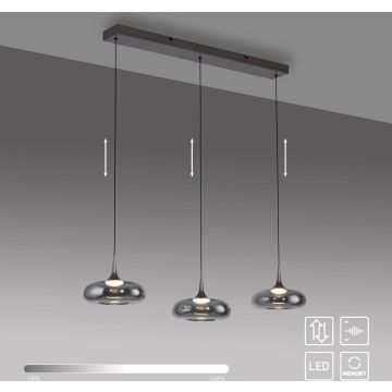 Paul Neuhaus POSH 15693-15 Pakabinama lempa 3x6,3W/LED 3000k 1000lm ip20
