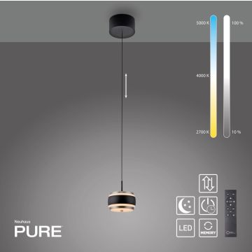 Paul Neuhaus PURE FALLING RINGS 2503-18 Pakabinama lempa 1x8W/LED 2200-5000k 310lm ip20