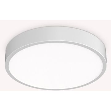 Ideal Lux RAY 318264 Lubų šviestuvas 1x26W/LED ip44