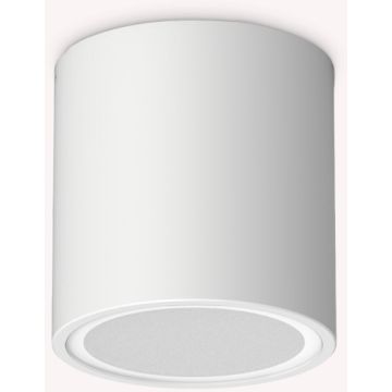 Ideal Lux TECHO 318127 Lubų šviestuvas 1x20W/GU10 ip54