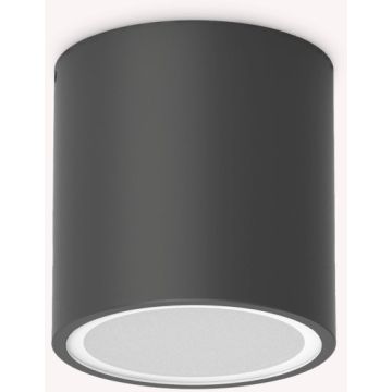 Ideal Lux TECHO 318141 Lubų šviestuvas 1x20W/GU10 ip54