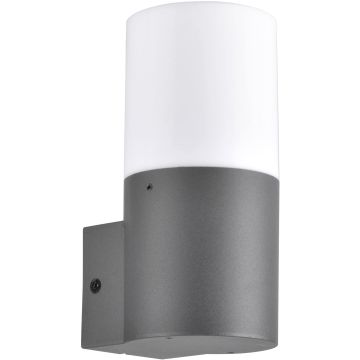 Polux DALLAS 315960 Sienos lempa 1x12W/E27 IP44