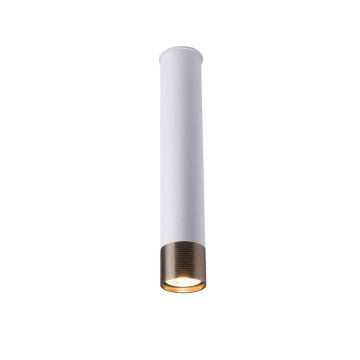 Antigo EIDO 8251 Lubų šviestuvas 1x50W/GU10
