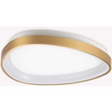 Ideal Lux GEMINI 328034 Stropo šviestuvas 1x24W/LED 3000K ip20