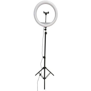Polux SELFIE 327598 Darbo stalo lempa 1x15W/LED 2700K-4000K-6000K 330lm IP20
