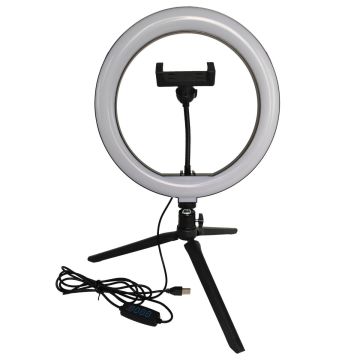 Polux SELFIE 327604 Darbo stalo lempa 1x10W/LED 2700K-4000K-6000K 240lm IP20