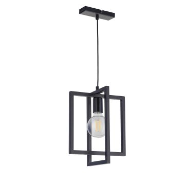 Sigma Lighting EDEN 32231 Pakabinama lempa 1x60W/E27