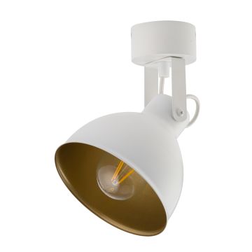 Sigma Lighting MARS 32265 Taškinis šviestuvas 1x60W/E27