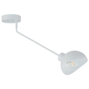 Sigma Lighting Roy 32428 Stropo šviestuvas 1x15W/E27 IP20