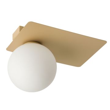 Sigma Lighting ARGON 33274 Lubų šviestuvas 1x12W/G9