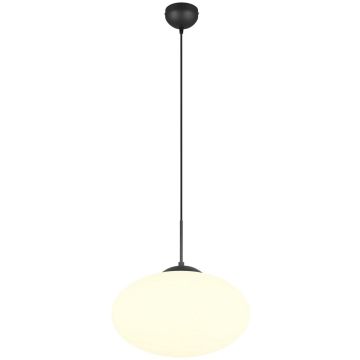 Trio FOMENTO 363190132 Pakabinama lempa 1x15w/e27 ip20