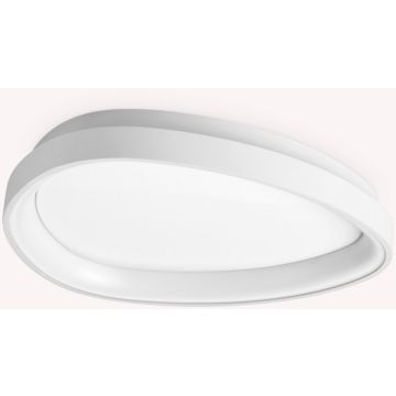 Ideal Lux GEMINI 372037 Stropo šviestuvas 1x24W/LED 4000K ip20