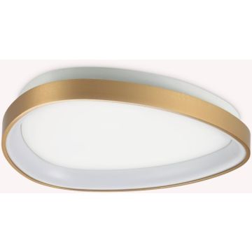Ideal Lux GEMINI 372051 Stropo šviestuvas 1x24W/LED 4000K ip20
