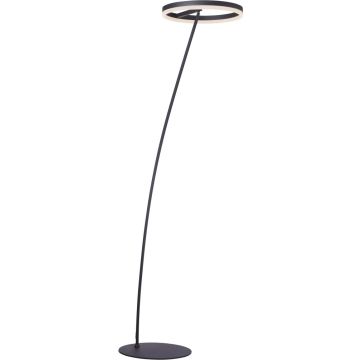 Paul Neuhaus TITUS 381-13 Stovinė lempa 1x23,5W/LED 2570lm ip20