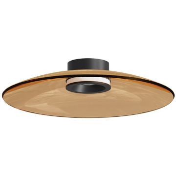 Zambelis CEILING LED LAMP 25268 Stropo šviestuvas 30W/led 2700K - 3000K 1800-1883lm IP20