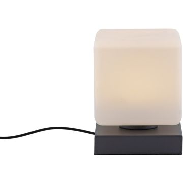 Paul Neuhaus DADOA 4036-13 Stalo lempa 1x7W/LED 3000k 580lm ip20