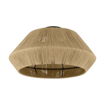 Eglo ALDERNEY 43784 Lubų šviestuvas 1x40W/E27 IP20