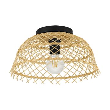 Eglo AUSNBY 43831 Lubų šviestuvas 1x40W/E27 IP20