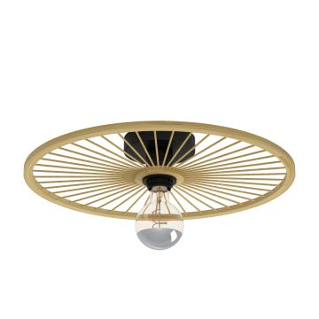 Eglo LEOMINSTER 43883 Stropo šviestuvas 1x40W/E27 IP20
