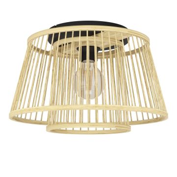 Eglo HYKEHAM 43851 Lubų šviestuvas 1x40W/E27 ip20