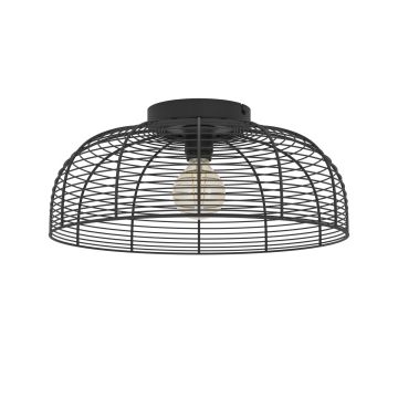 Eglo RINROE 43896 Stropo šviestuvas 1x40W/E27 ip20