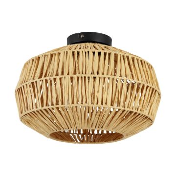 Eglo SHELDON 44142 Stropo šviestuvas 1x40W/E27 ip20